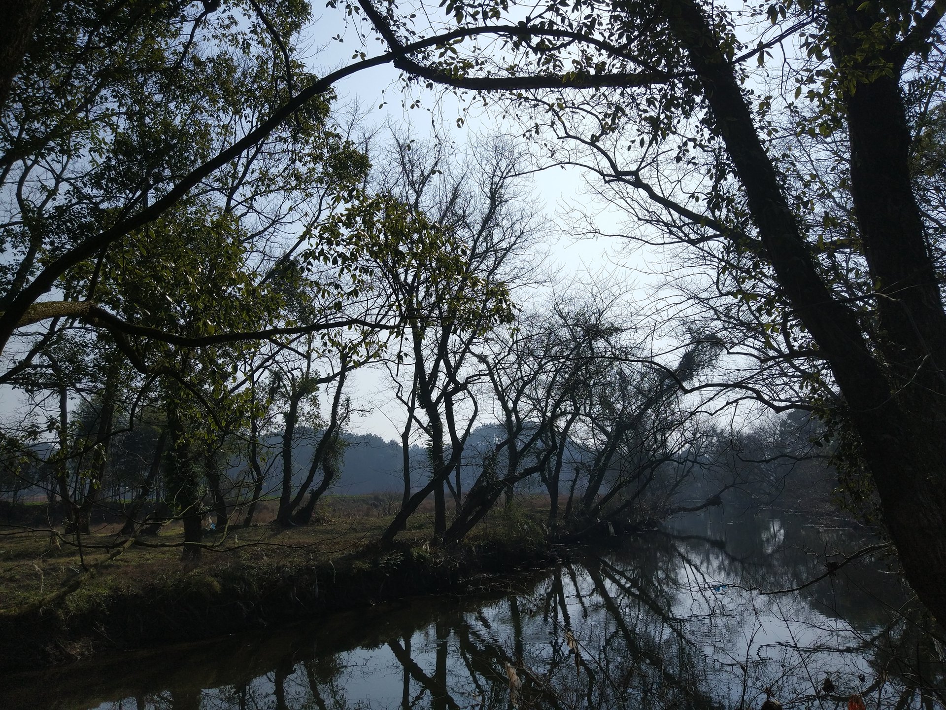 详细阅读:龙头村(龙头村天气预报) 龙头村(龙头村天气预报)